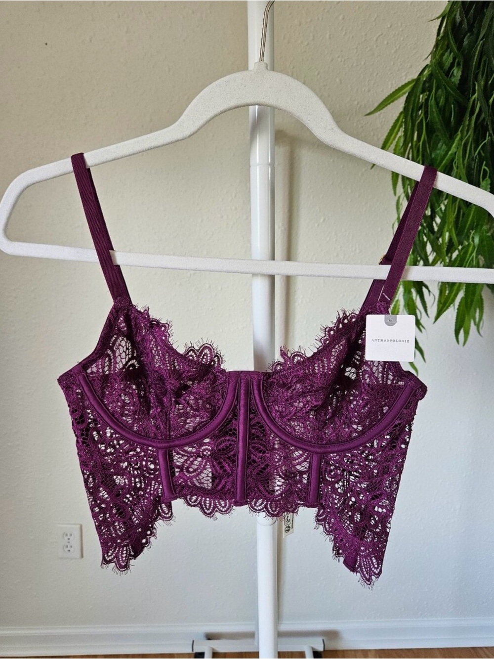 Anthropologie Giselle lace bustier
